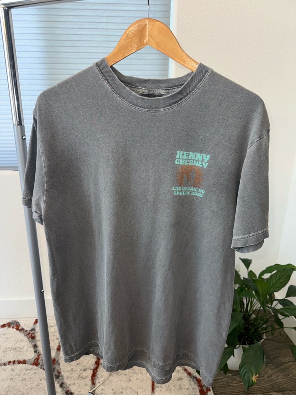 Comfort Colors Gray Short Sleeve Tee with Teal & Rust Tour Graphic